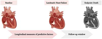 Pre-diagnostic predictors of mortality in patients with heart failure: The multi-ethnic study of atherosclerosis